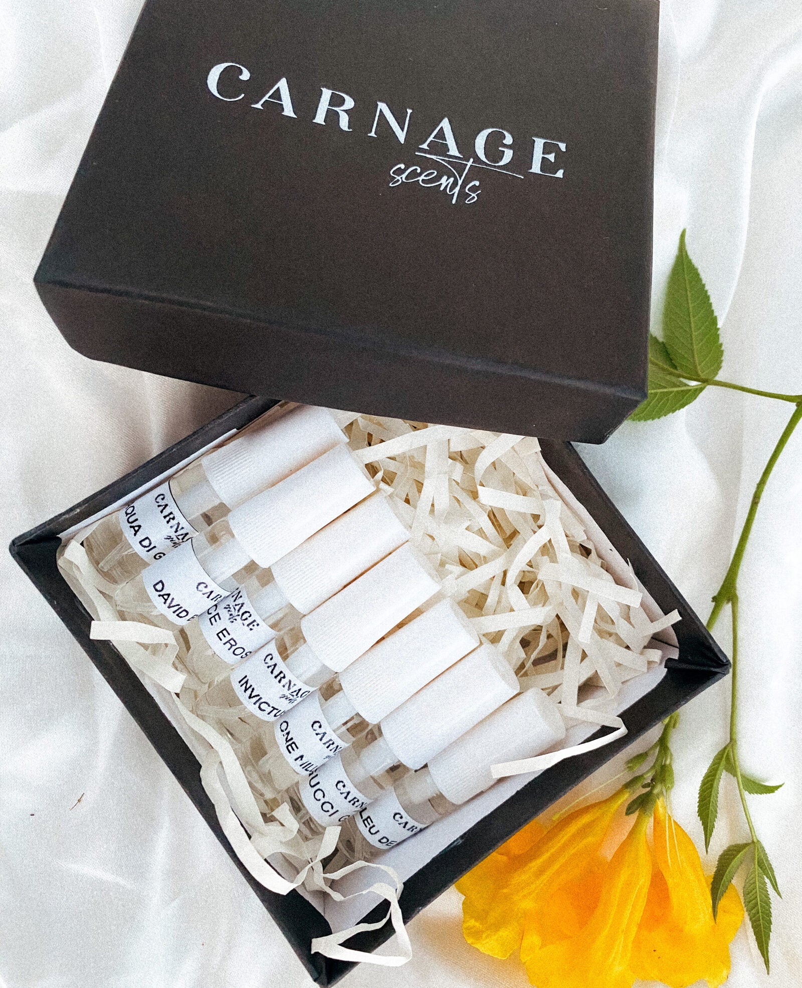 75E03BB9-1BFC-4230-99A3-BC5FF579EB5C