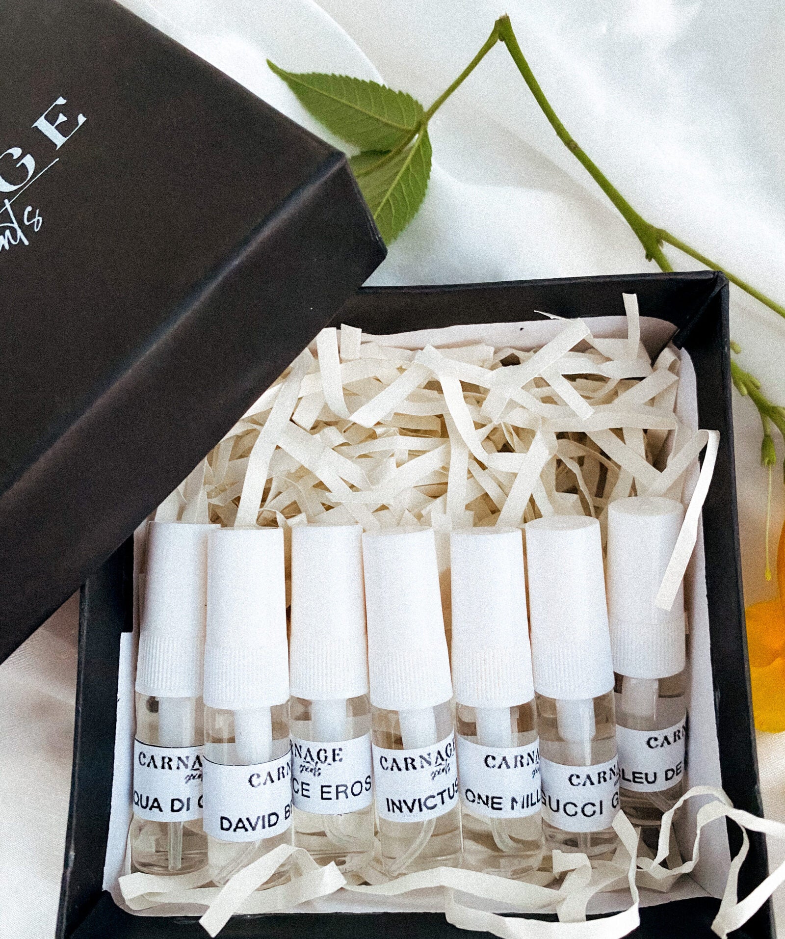 5AB6393F-7480-4F3E-BD07-C22028BF1B95